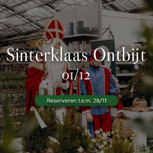 Sinterklaas Ontbijt - 01/12/2024