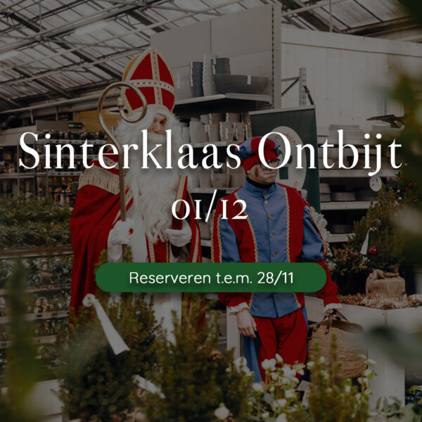 Sinterklaas Ontbijt - 01/12/2024